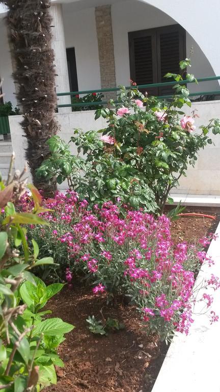 רוביני Apartments Soric מראה חיצוני תמונה